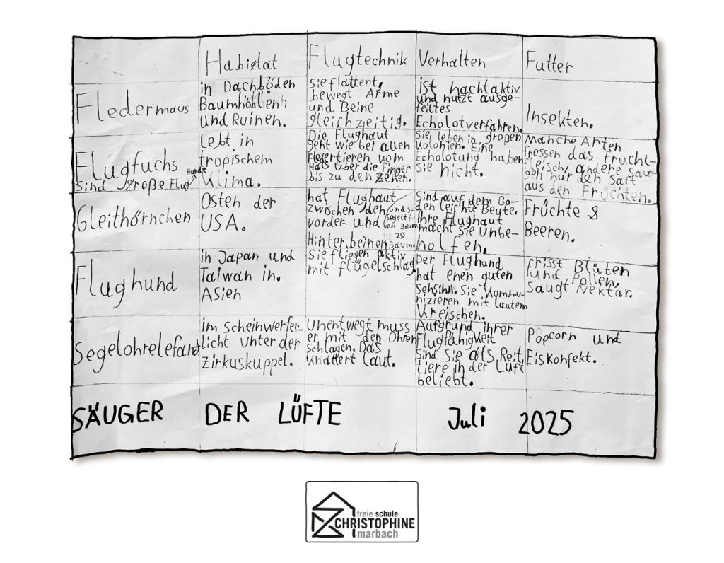 Freie Schule Christophine · Säuger der Lüfte · Juli 2025